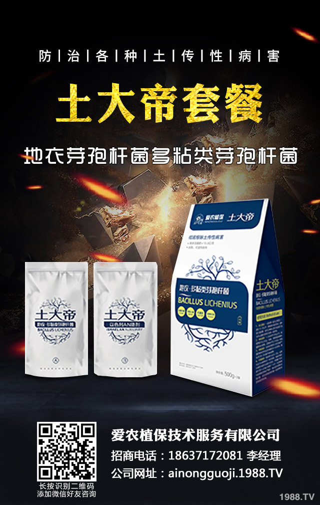 �ﲥС����ô����|�����ﲥС������|����Ҫ�c