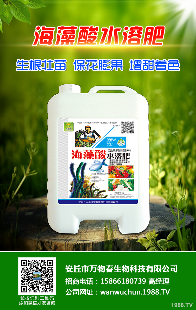 �ﲥС����ô����|�����ﲥС������|����Ҫ�c