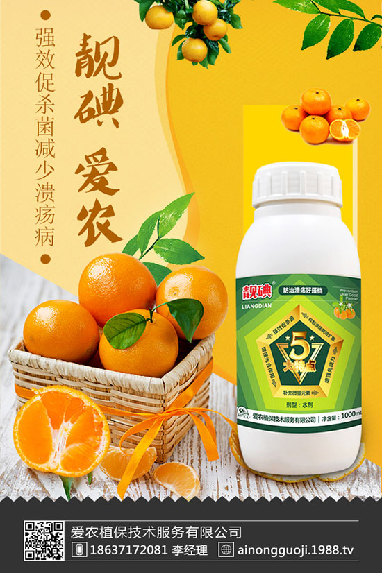 ���m����ηNֲ�����m���Nֲ�r(sh��)�g��������