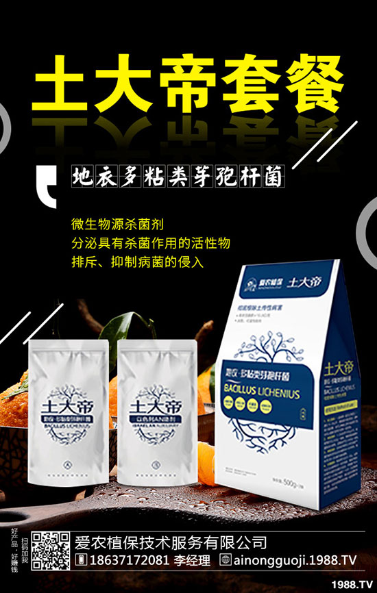 ���·ݿ��ԷNʲô�߲���2019��9���߲˷Nֲָ��!