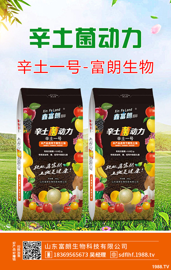 桃樹秋季帶葉修剪好處及什么時間修剪合適?桃樹秋季修剪技術(shù)!