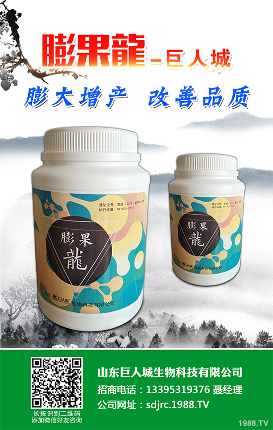 萵苣該如何施肥?萵苣的高產(chǎn)施肥技術(shù)有哪些?這些方法很重要!
