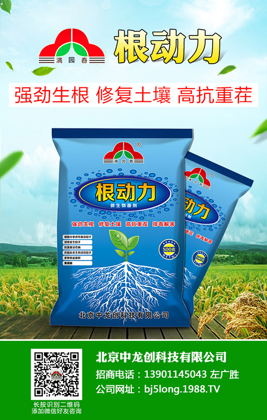 ������̦���l(f��)��ԭ������Щ��������̦�����δ�ʩ��