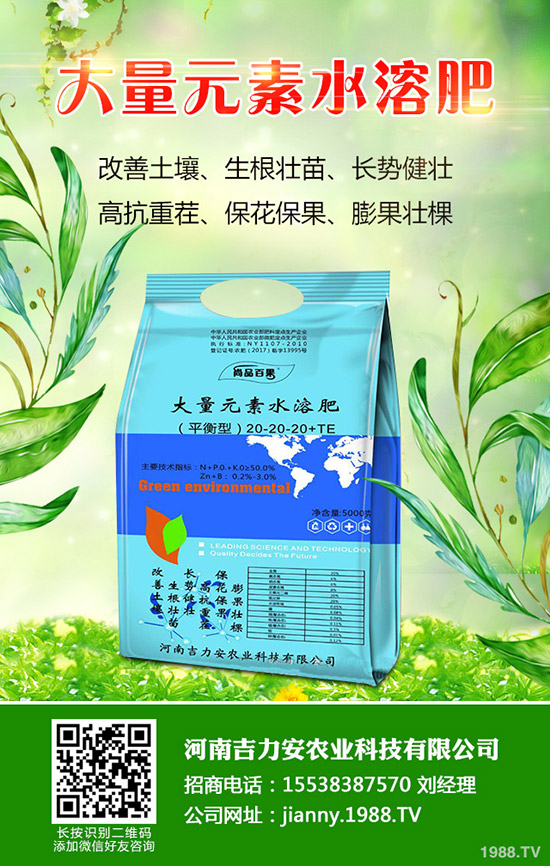 ����ʲô�r��N������Nֲ��������