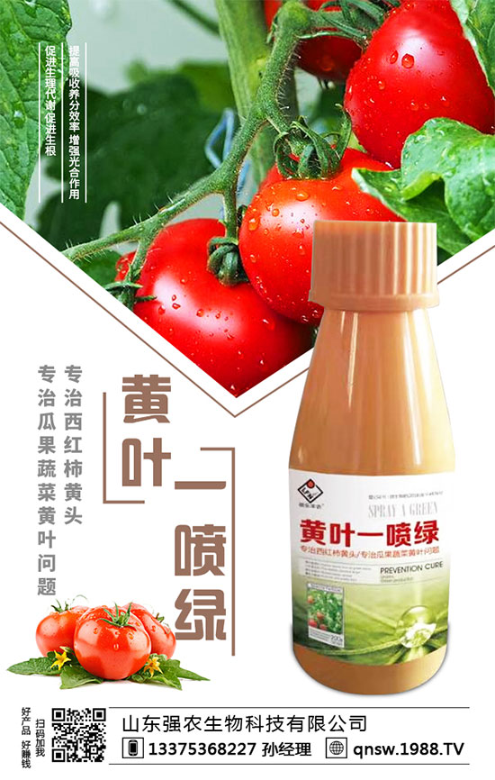 秋蘿卜播種時(shí)間,秋蘿卜種植需要注意哪些事項(xiàng)?