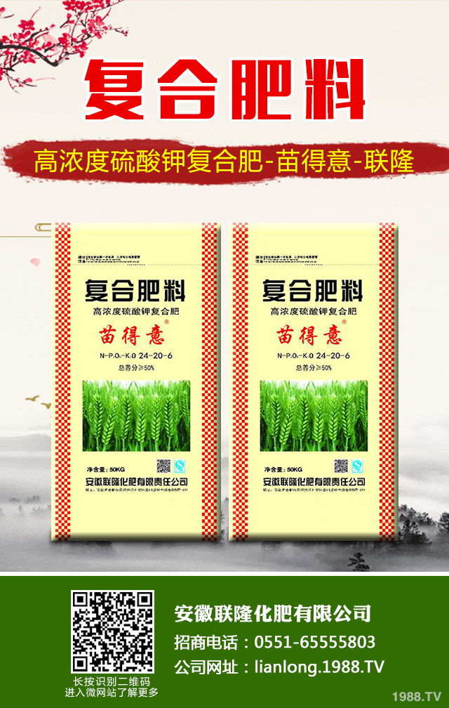 蘇鐵葉黃枯問(wèn)題怎么解決?蘇鐵葉黃枯解決方法