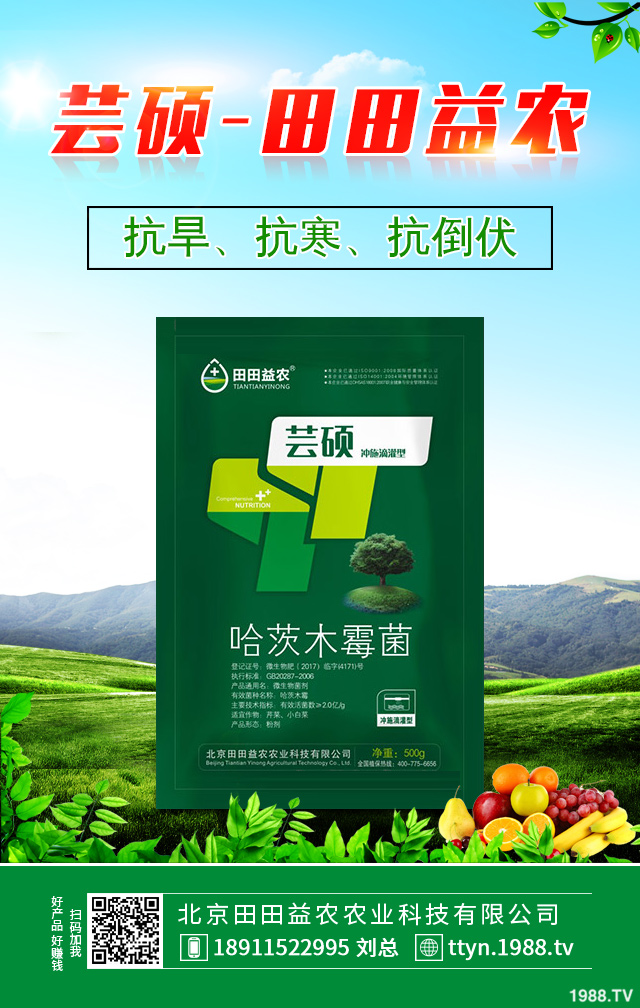 ����������η������������ٷ�������