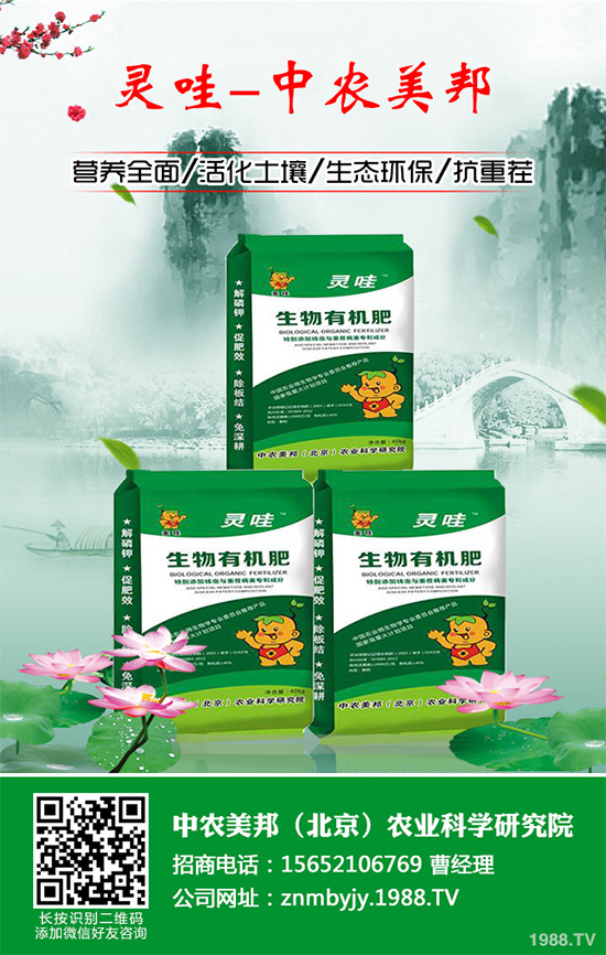 萵苣黑斑病是如何發(fā)生的?有哪些危害?萵苣黑斑病防治措施