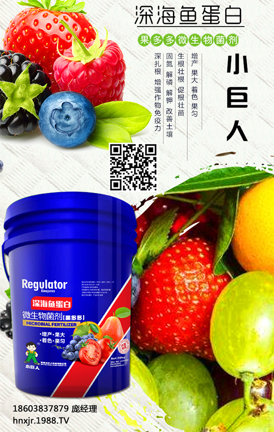 �t����ô�Nֲ���t���Nֲ�ĸ߮a(ch��n)����Ҫ�c(di��n) 