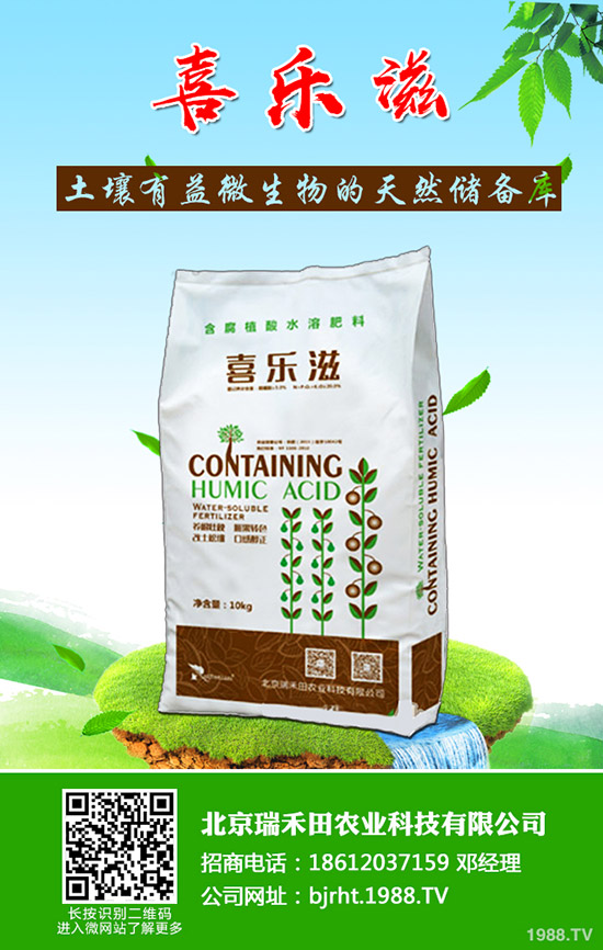 草莓緩苗期如何管理?草莓苗期管理注意事項(xiàng)!