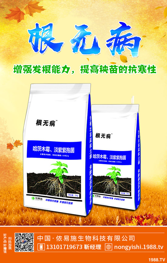     ��������[�����[�Nֲٍ�X(qi��n)������Ҋ(ji��n)�{(di��o)ζ���߲˷Nֲ����(r��n)������