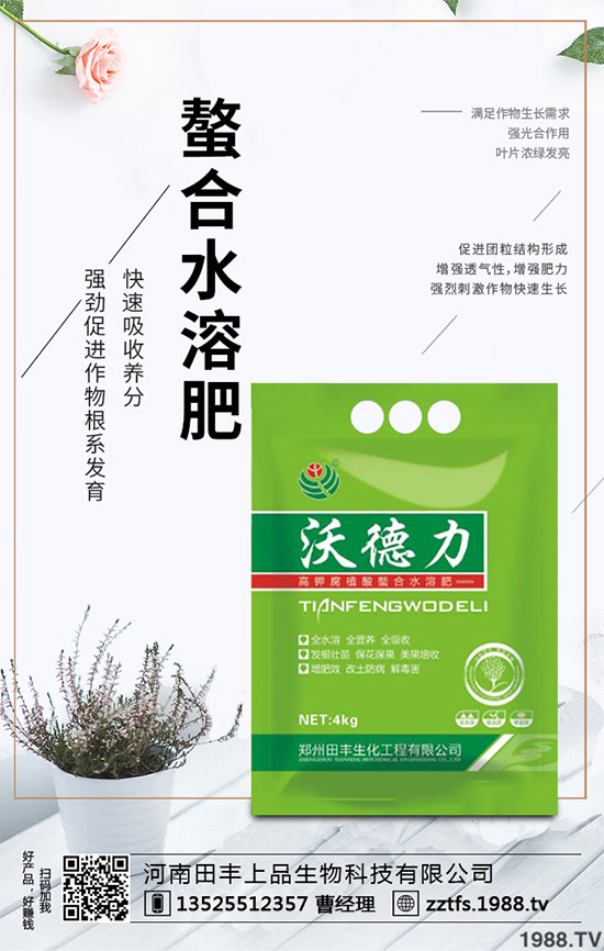 卷心菜有哪些營養(yǎng)價值?吃卷心菜有哪些好處?教你吃出健康!