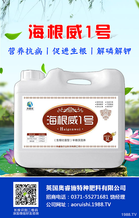 �����^����Щ��̎�����^�ĠI�B(y��ng)�rֵ��ʳ�ý�����