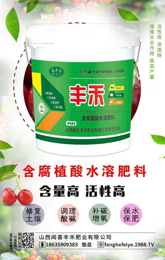 ��ϲ�S�̡�ף������옷���f�����⣡�I(y��)�г���֥���_����(ji��)��(ji��)����