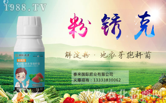 ��̩��(l��i)��(gu��)�H�ʘI(y��)��ף���I(y��)�ɹ��x�������H�Қg��(l��)�Ҹ�����