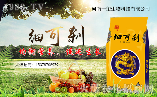 【河南一璽】祝全國朋友們,鼠年步步高升、迎春納福,萬事如意!