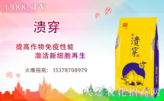 【河南一璽】祝全國朋友們,鼠年步步高升、迎春納福,萬事如意!