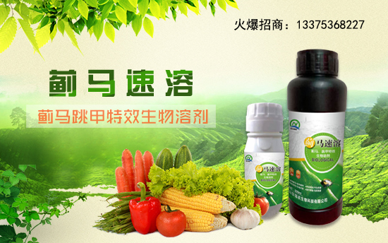 ��ɽ�|���r(n��ng)���ףԸһ·�������т����w�������f��������