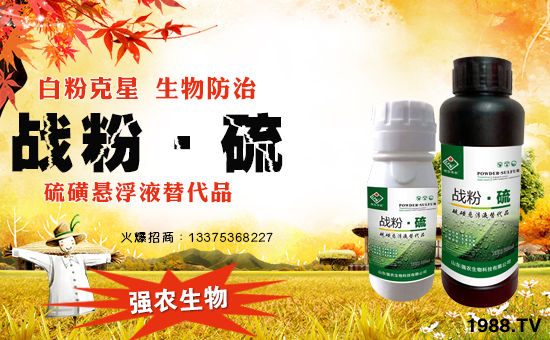 ��ɽ�|���r(n��ng)���ףԸһ·�������т����w�������f��������