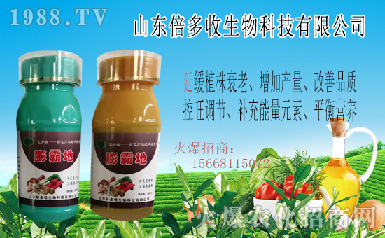  ��ɽ�|�����ա�ף������µ�һ����ؔԴ�L�L�������d¡��