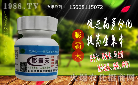  ��ɽ�|�����ա�ף������µ�һ����ؔԴ�L�L�������d����