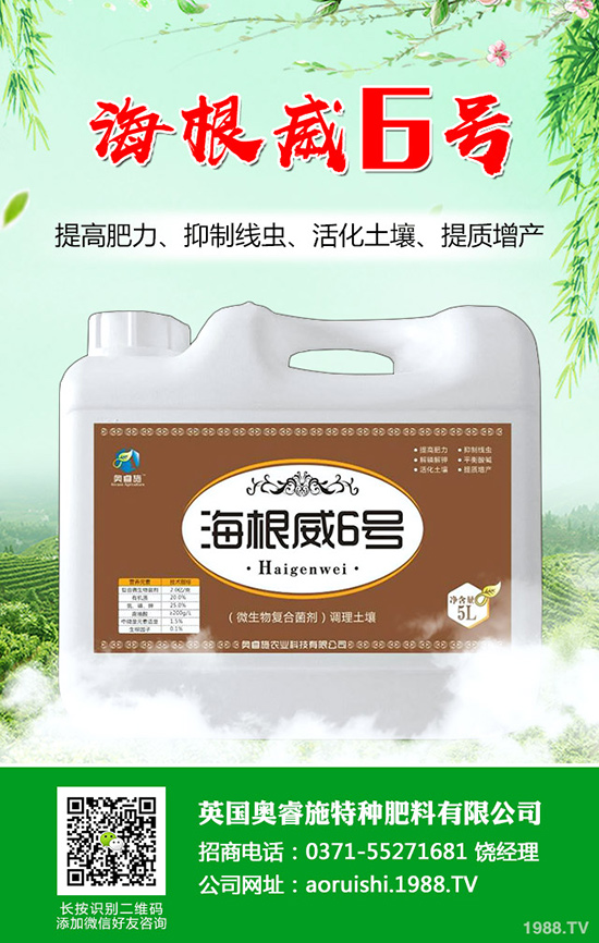 ���Ѵ������Ĩѿ������Ĩѿ������ע�����