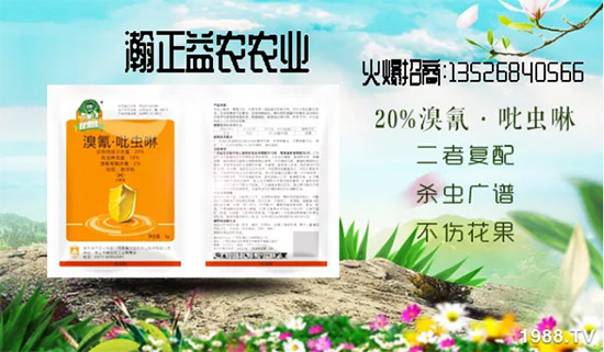 ��������r(n��ng)��ף�V��(j��ng)�N��2020���I(y��)�v�w����������������