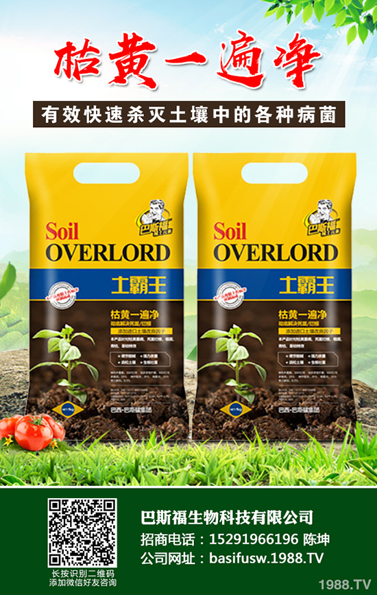 ���Sԓ��ηNֲ�����S�ĸ�Ч���༼�g(sh��)����Щ��