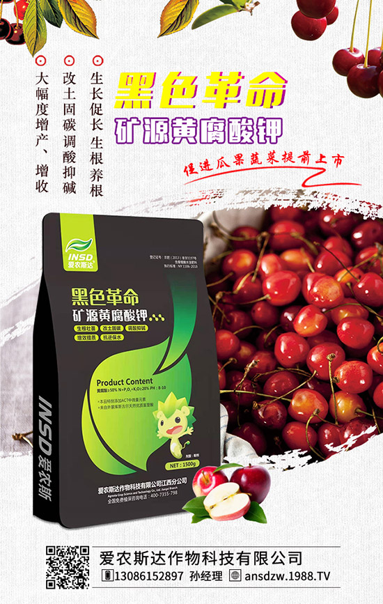 �����r(n��ng)˹�_(d��)��ף�r(n��ng)�Y�����т��|�м������������������ƽ�������ߟo�]��