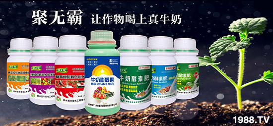 ���������S���۟o��ţ�̷���׌���������ţ������ף�������󼪣�