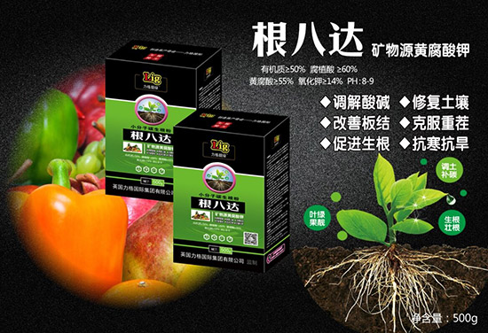 ��Ӣ������ף��2020�������³ɣ��f���������������