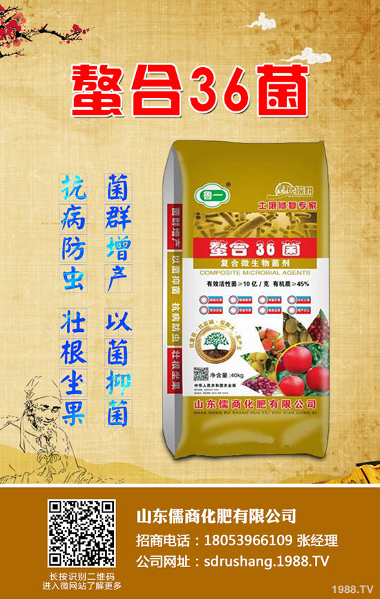 春節(jié)期間!磷肥價格依舊不高!2020-1-21今日最新二銨價格行情!