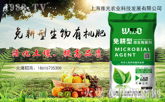 ���Ϻ��Ź⡿ף�������옷(l��)��ؔ(c��i)Դ�L�L��������������\(y��n)��(d��ng)�^��