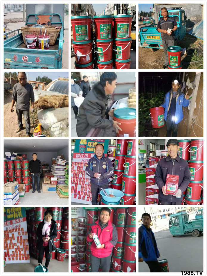 �����������Ƽ����o��Ұ�������ף���I(y��)�t��������옷(l��)���������