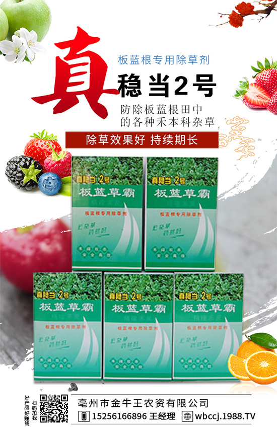     ����ţ����ף�V��(j��ng)�N(xi��o)�����т����µ�һ������t����ؔ(c��i)Դ�V�M(j��n)��