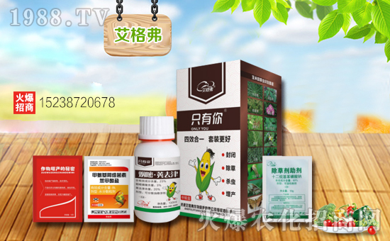 ���������ף���������´��옷(l��)�������d¡���f(w��n)���������H�Ұ�����