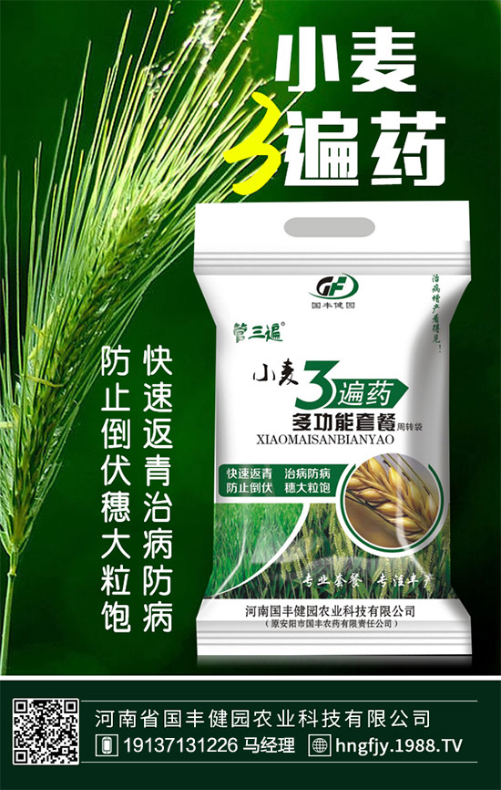 �����S���@��ף������µ�һ�������w�������f��������