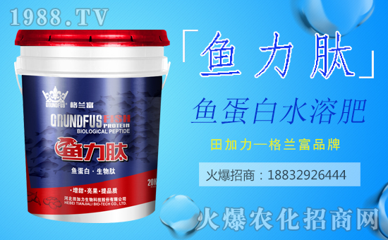 ���������ף������µ�һ�������w�������H�Қg����