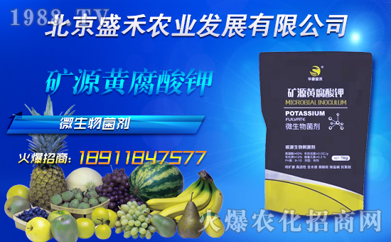 ��ʢ���r�I(y��)��ףȫ�����N������옷���f�����������꼪����