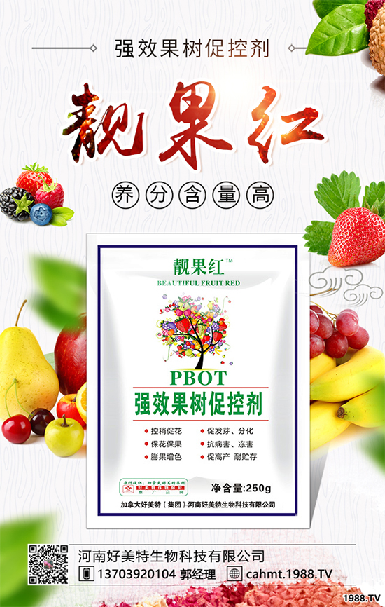 �����������ף������µ�һ�������w�������f��������