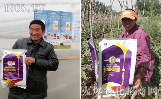 ���̩���ף���2020������옷(l��)��Ц�ڳ��_��ؔ(c��i)Դ�L�L��