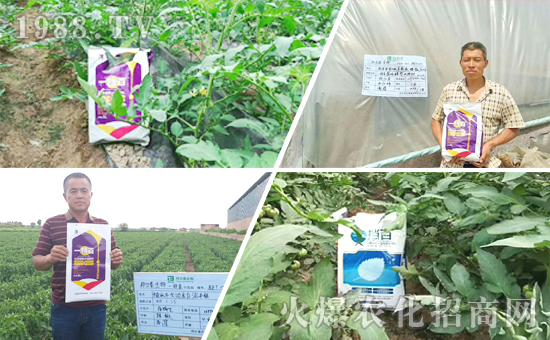 ���̩���ף���2020������옷(l��)��Ц�ڳ��_��ؔ(c��i)Դ�L�L��