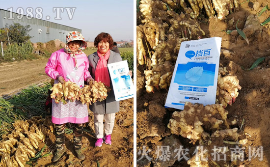 ���̩���ף���2020������옷(l��)��Ц�ڳ��_��ؔ(c��i)Դ�L�L��