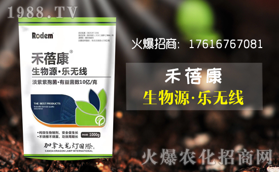 ���۹�������ףȫ����������옷������������w������ؔԴ�V�M��