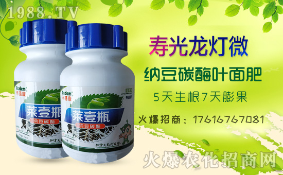 ���۹�������ףȫ����������옷������������w������ؔԴ�V�M��