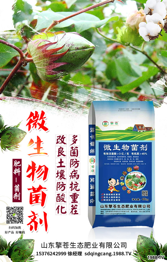     ����(ji��)���R��2020��1�������ܷ�ͦ�r(ji��)�����������߄�(sh��)�A(y��)�y(c��)��