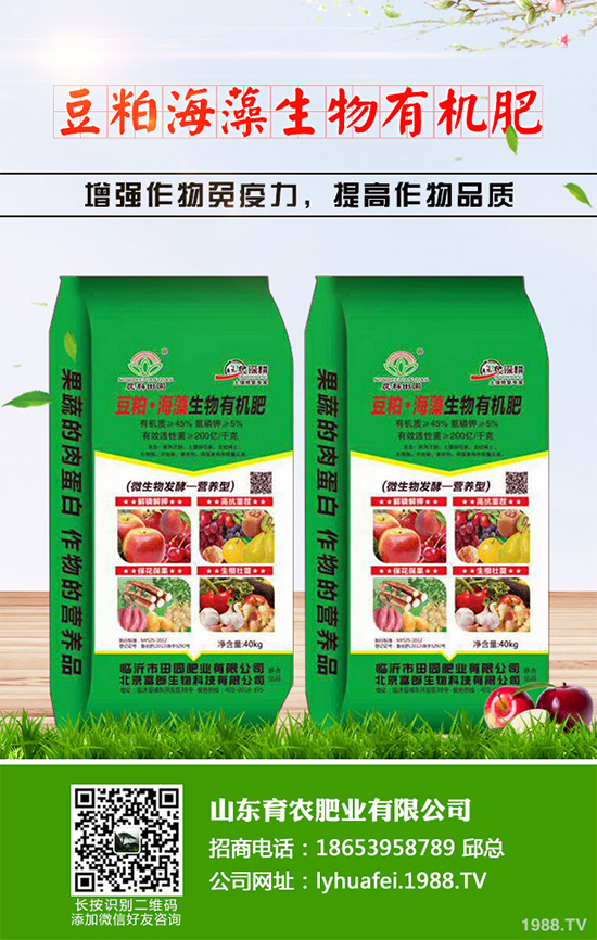 �۲����߲�����ЩΣ���Y�����۲����߲��İY����δ�ʩ