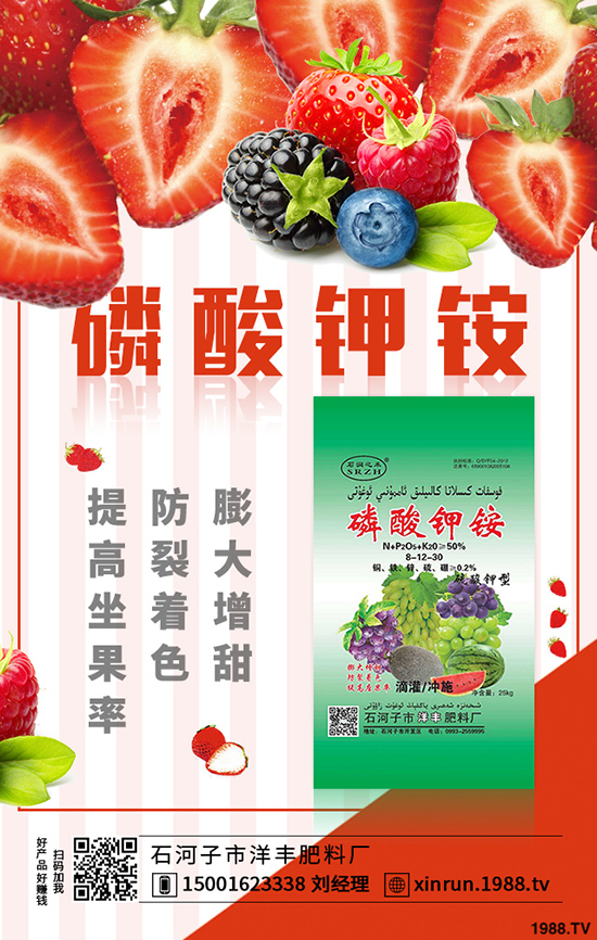 榨菜要高產(chǎn),合理種植是關(guān)鍵!榨菜高產(chǎn)栽培看這里!