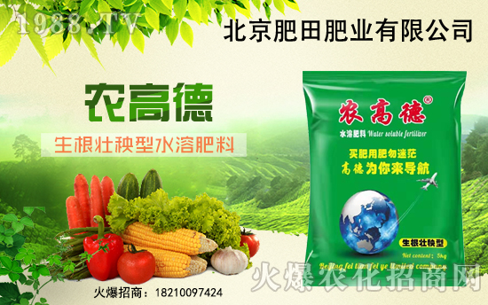 ���������ף������µ�һ������옷��Ц�ڳ��_��ؔԴ�V�M��