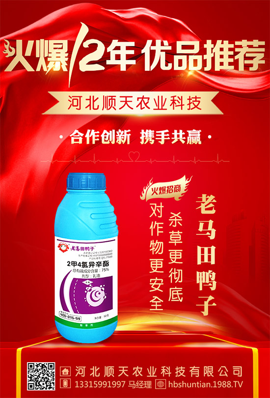 ���ӱ���졿ף���Ͽ͑��´��옷(l��)���H�Қg��(l��)��